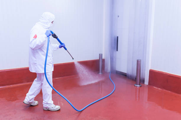 Best Concrete Surface Cleaning in Berwyn Heights, MD